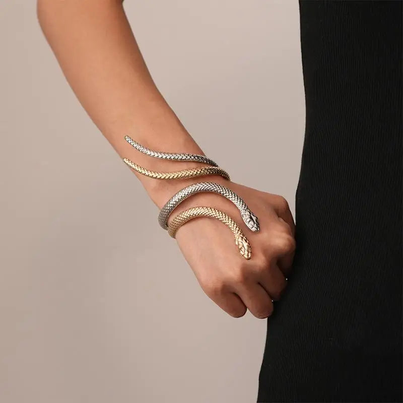 Rebel Spirit Snake Jewelry Set