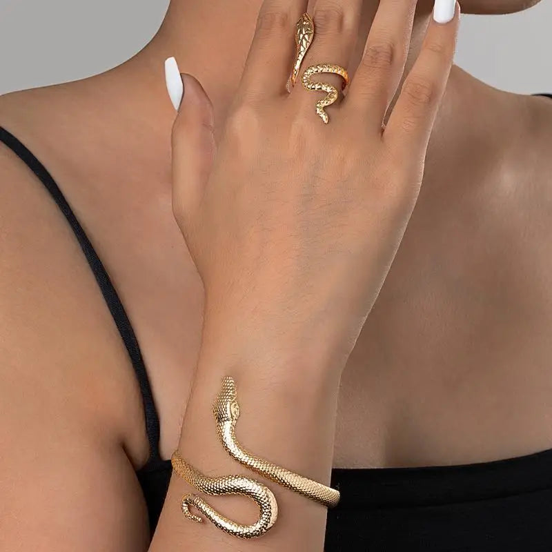 Rebel Spirit Snake Jewelry Set
