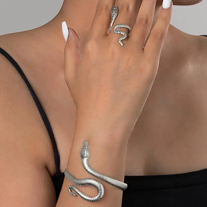 Rebel Spirit Snake Jewelry Set